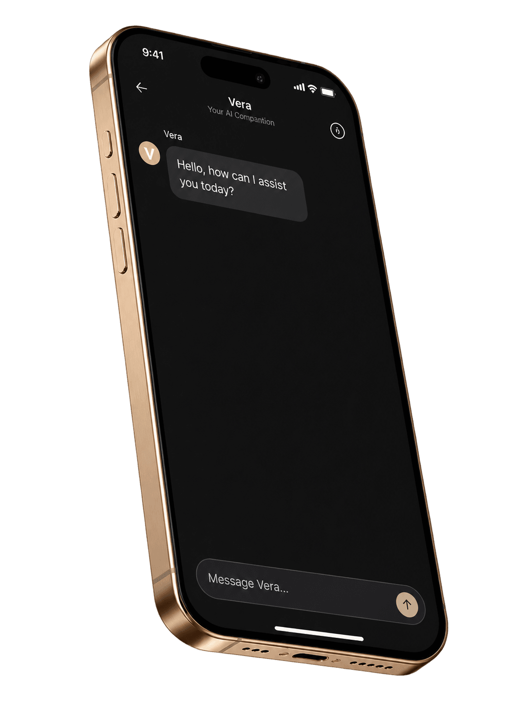 Vera AI coaching conversations and progress guidance on mobile